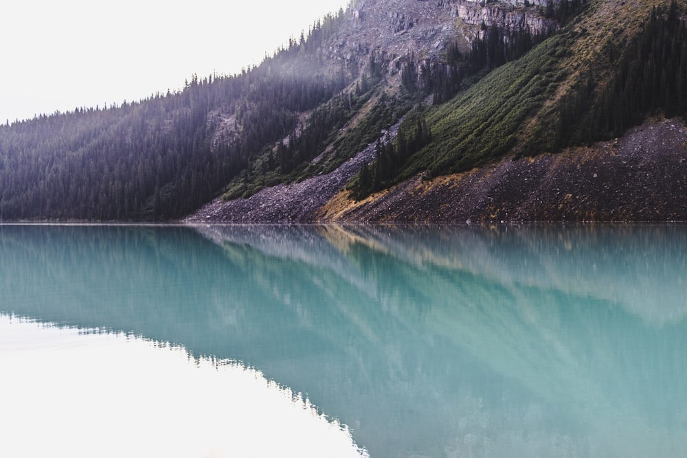 mountain and forest near body of water