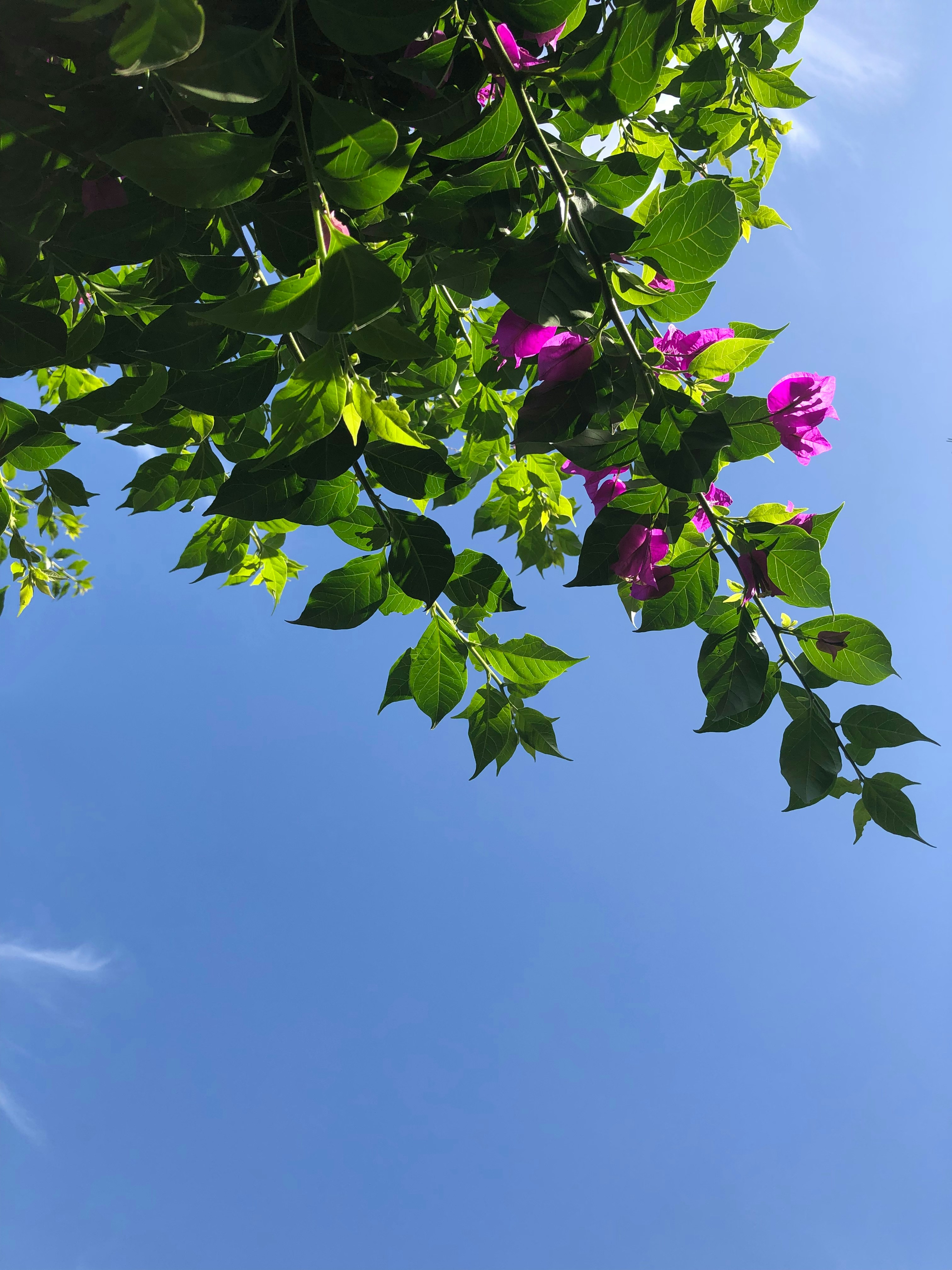 Photo by taohnichols