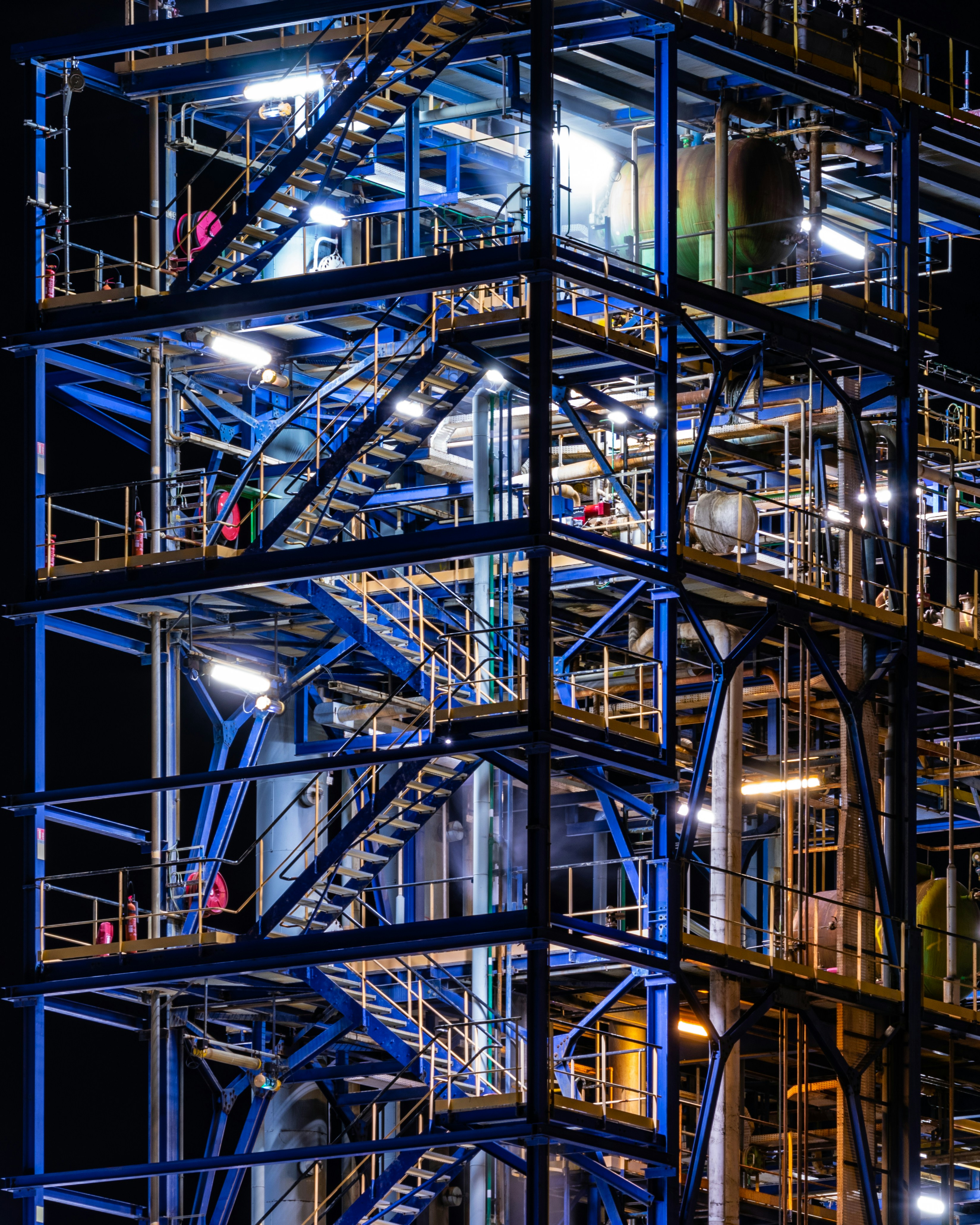 Photo by bosco_shots