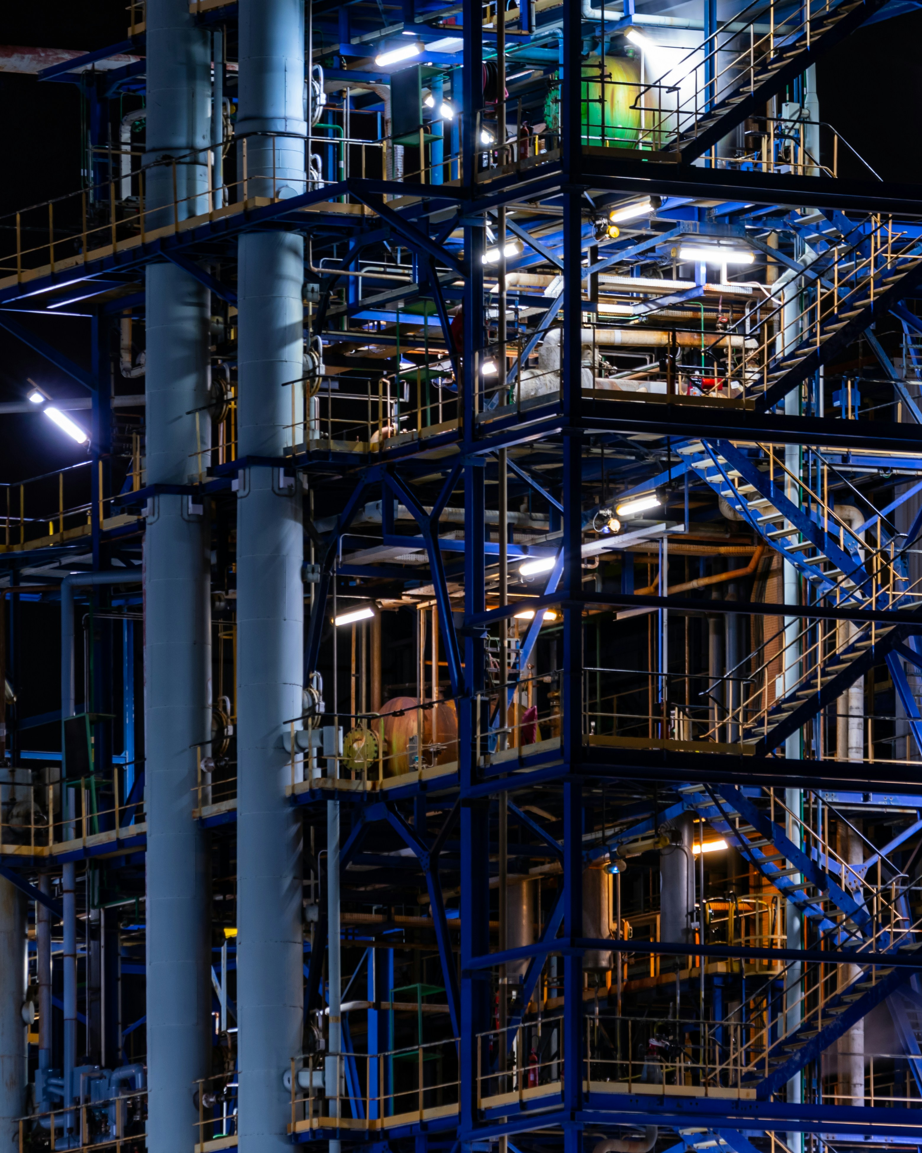 Photo by bosco_shots