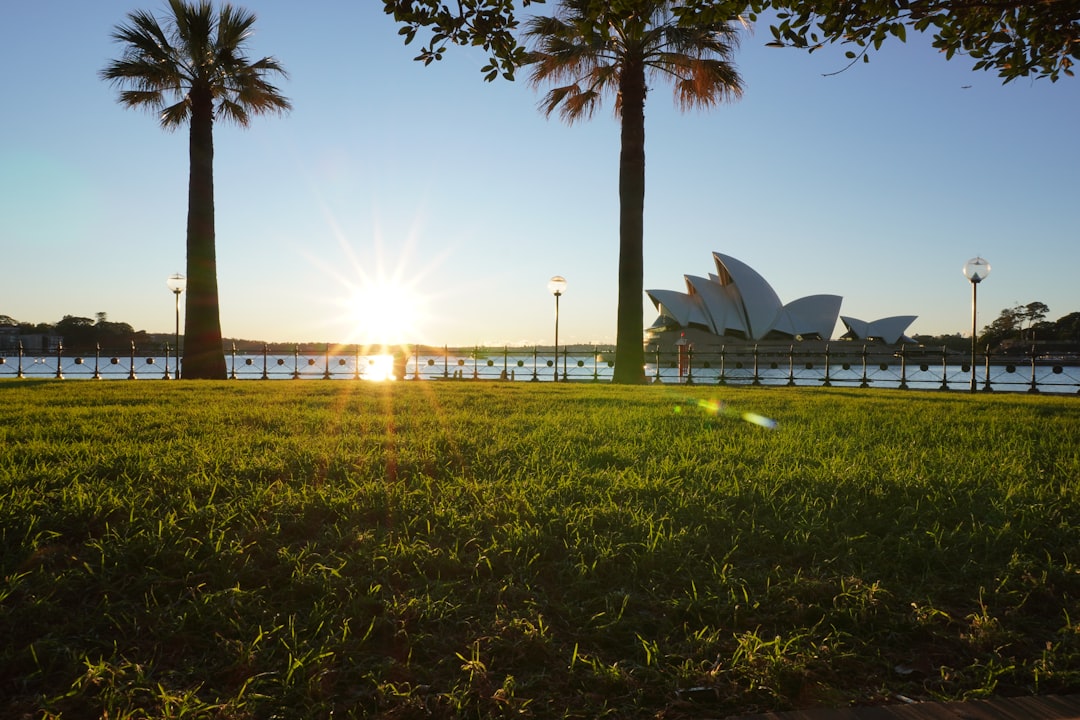 Panorama photo spot Sydney Pyrmont Bridge