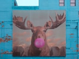 A large mural on a blue wall features a moose with impressive antlers. The moose is depicted humorously blowing a bright pink bubble gum. The background showcases a serene, cloudy sky and a wooden fence.