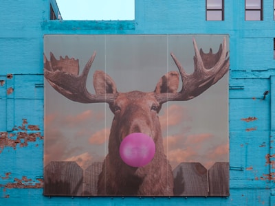 A large mural on a blue wall features a moose with impressive antlers. The moose is depicted humorously blowing a bright pink bubble gum. The background showcases a serene, cloudy sky and a wooden fence.