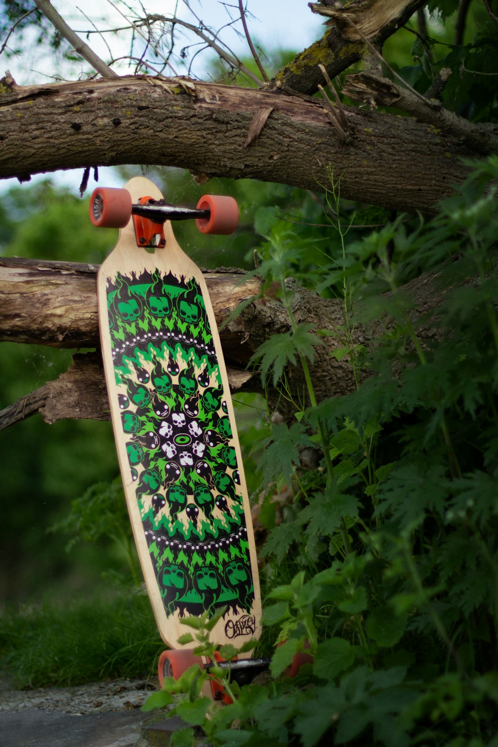 brown skateboard