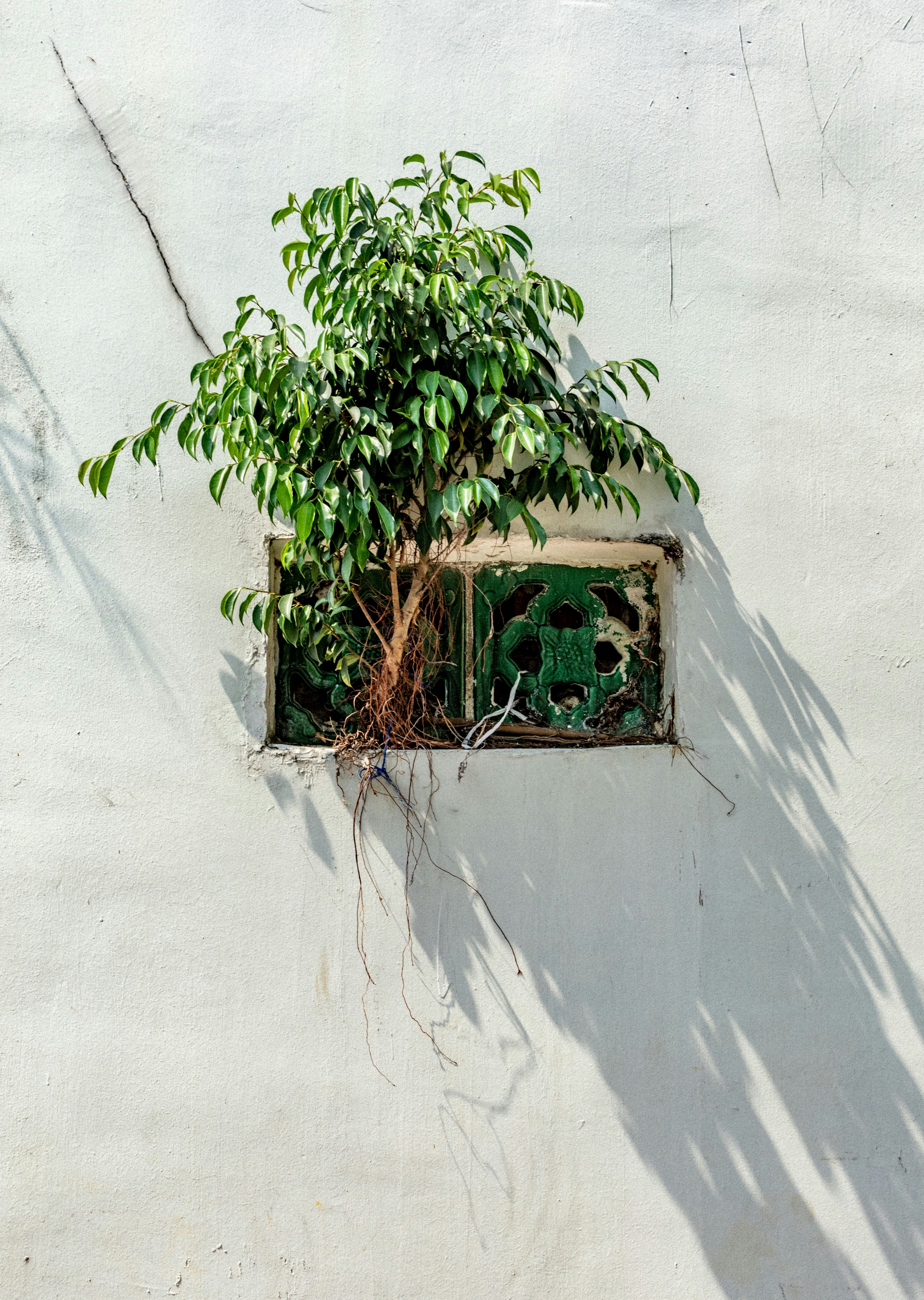 Photo by gervynlouis