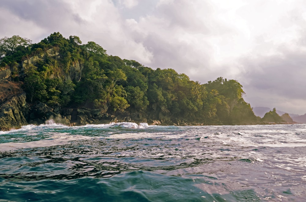 trees in front of body of water under heavy clouds