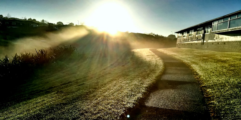 pathway between grass during daytime