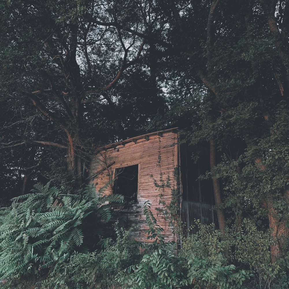 brown house near trees