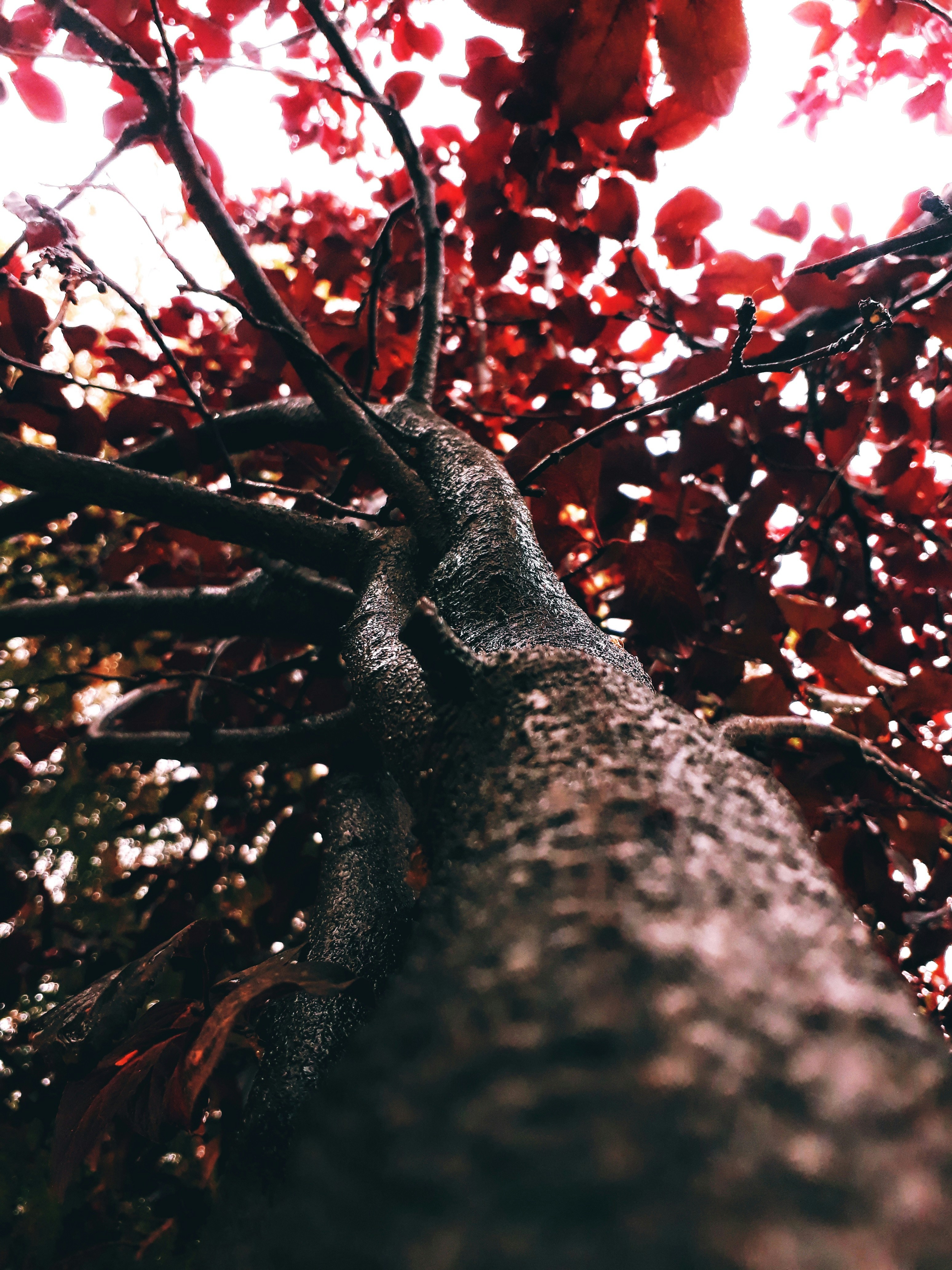Photo by nabilryo
