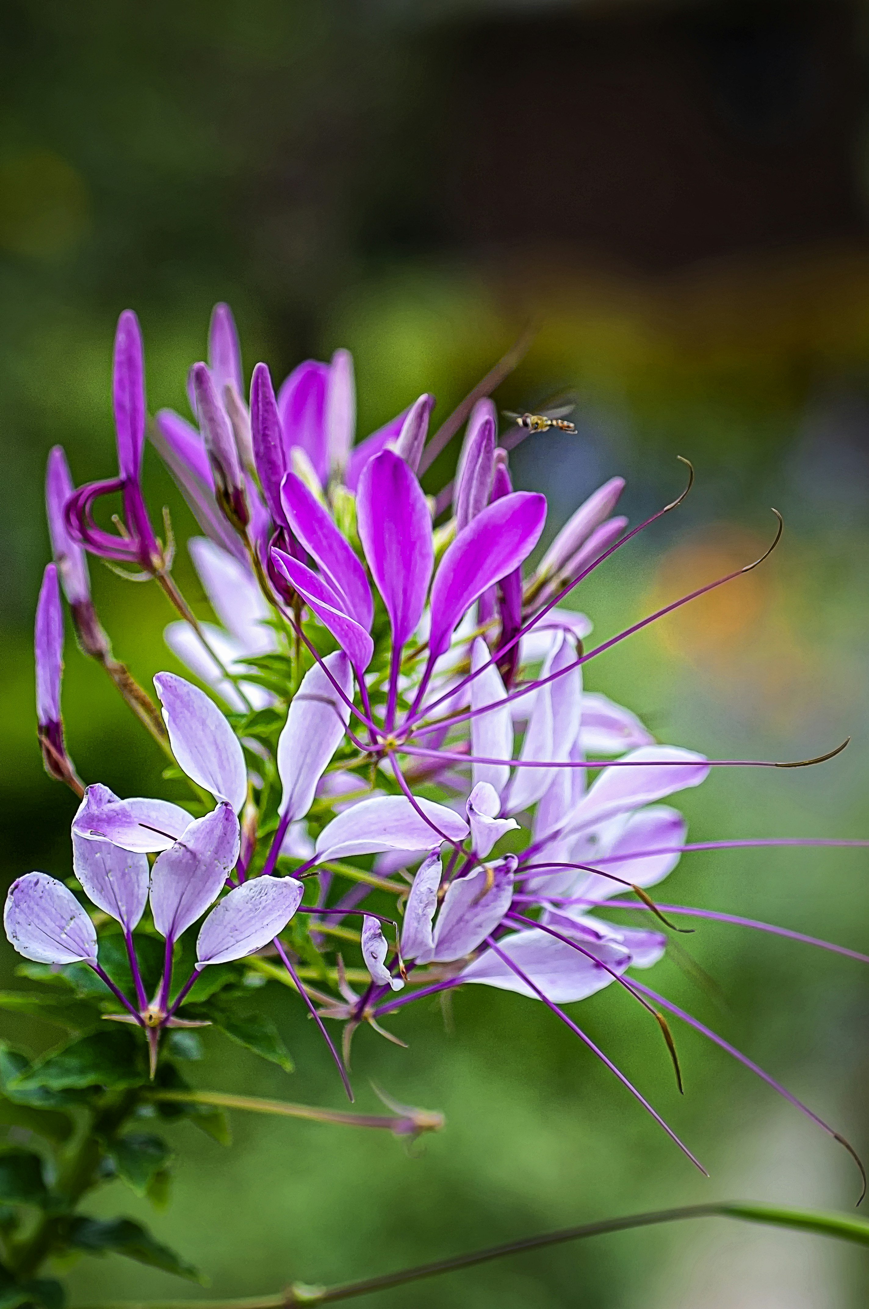 Photo by rthiemann