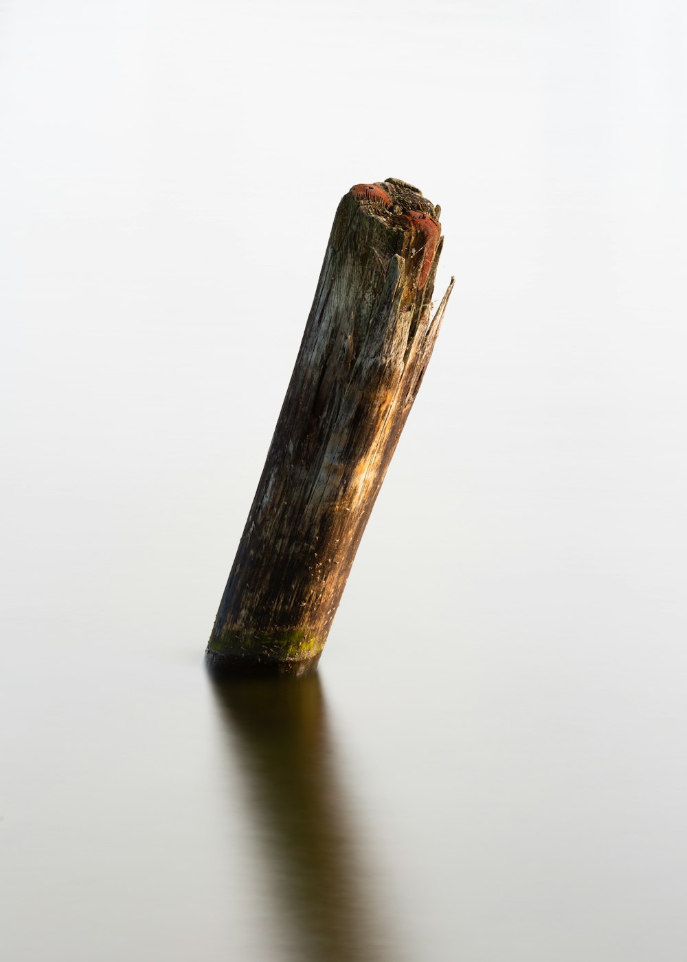 brown wooden stick in body of water