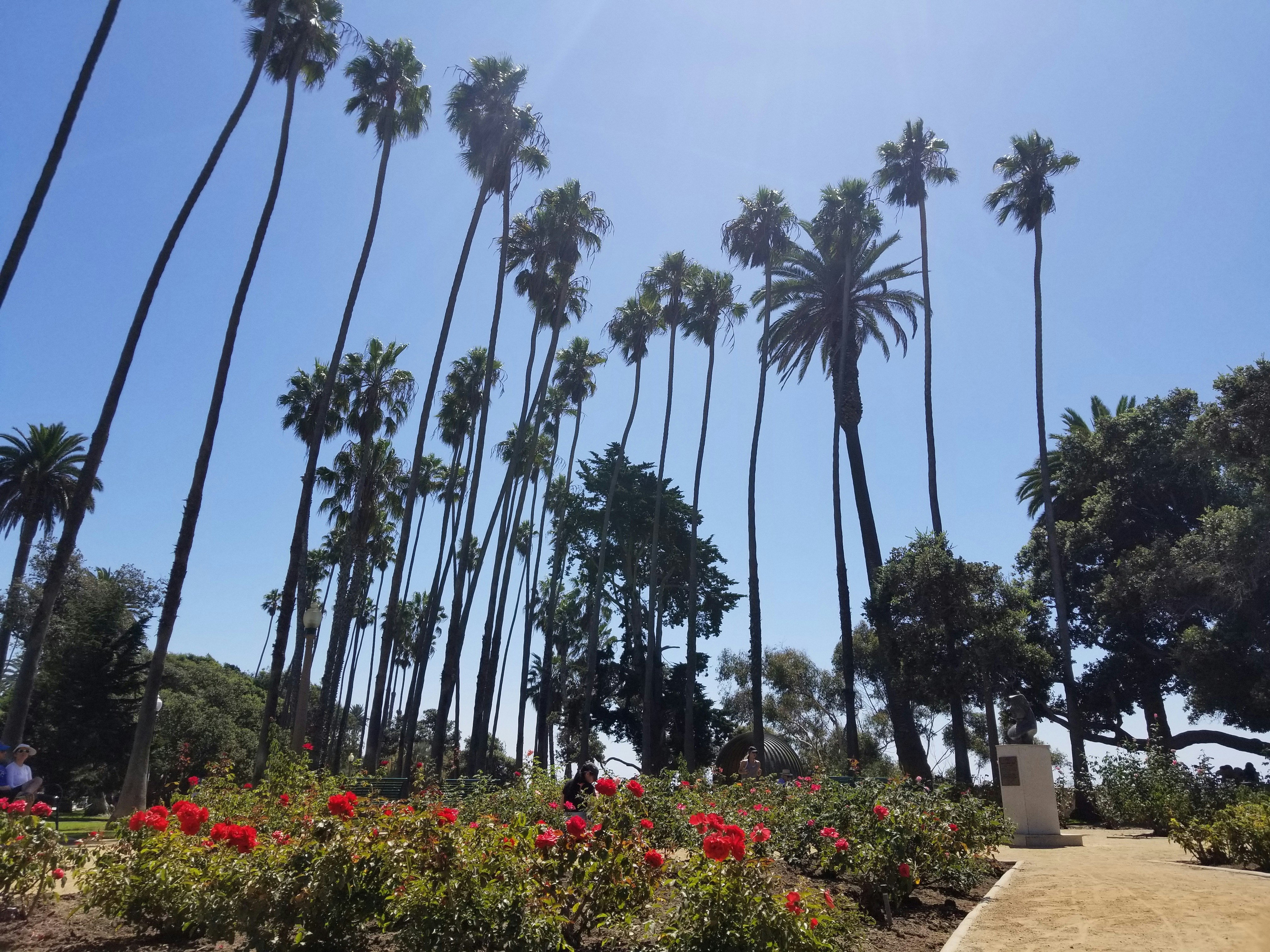 Photo by szedlaktomi