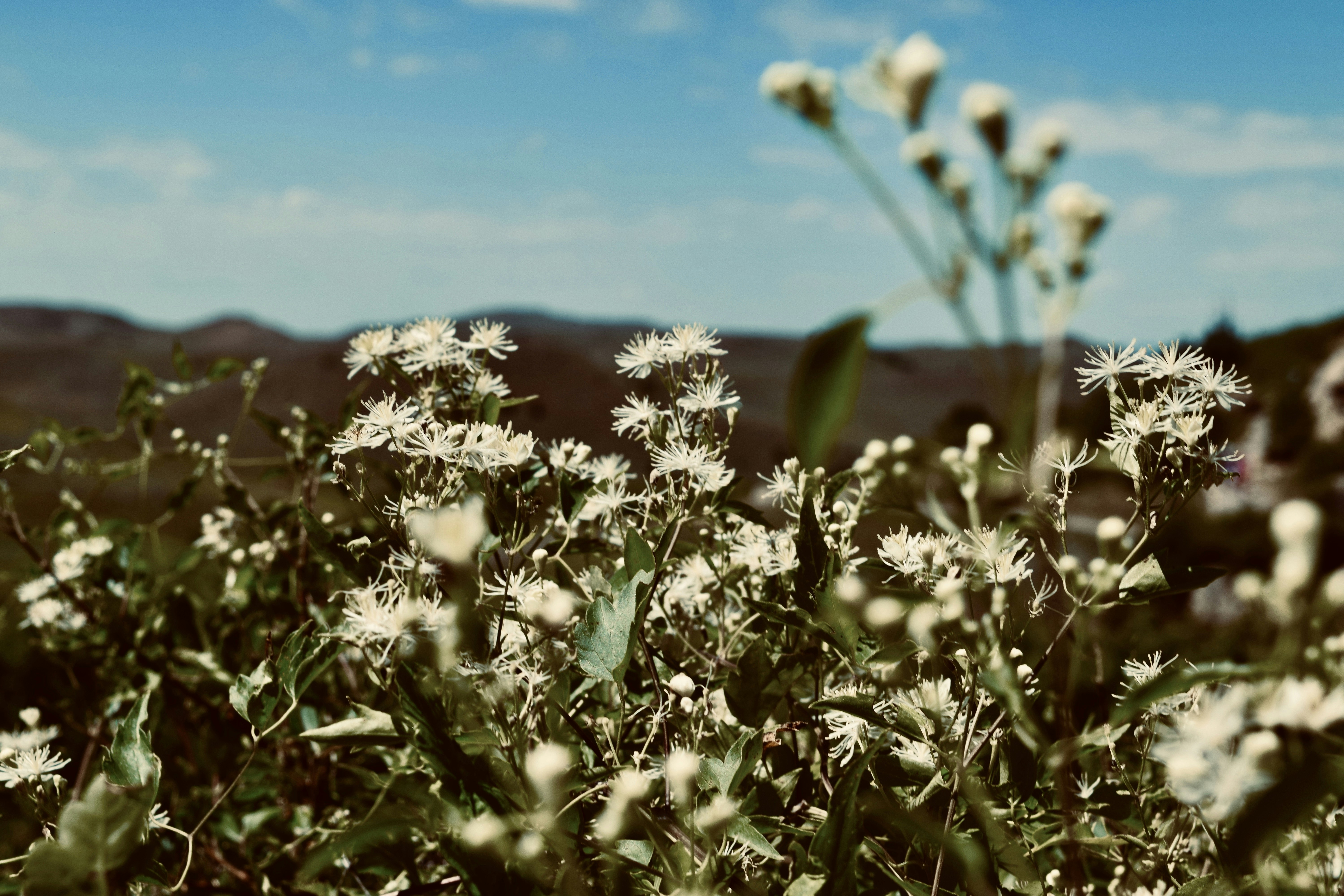 Photo by koradr19