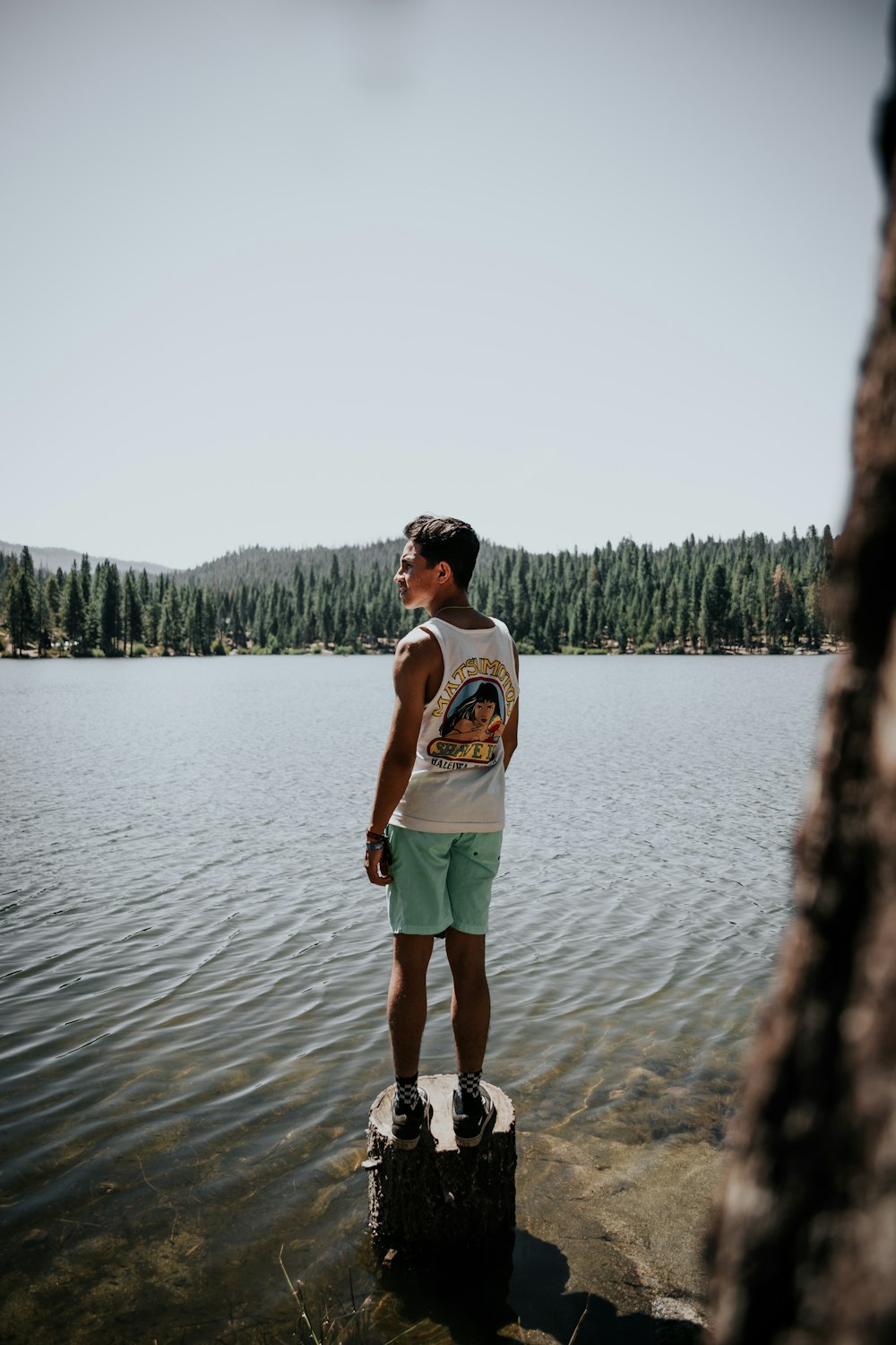 man standing on drift wood