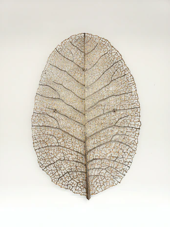 A delicate leaf vein artwork framed softly with natural light highlighting its intricate details.