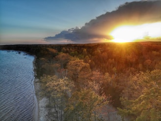 A beautiful sunset scene with the sun setting behind a dense forest. The sunlight casts a warm glow over the treetops, which display a variety of autumn colors. On the left, a body of calm water runs parallel to the forest, with a sandy shoreline separating them.