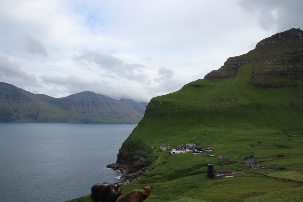 body of water surrounded by mountains under cloudy sky