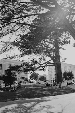 Smiling workers taking a break together in the shade of a large tree.