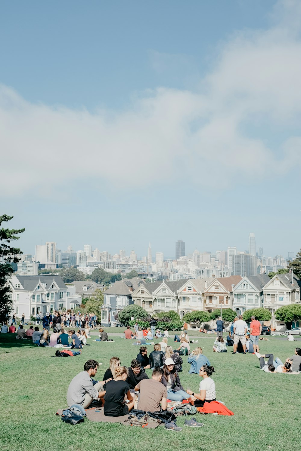 people sitting on grass field during daytime