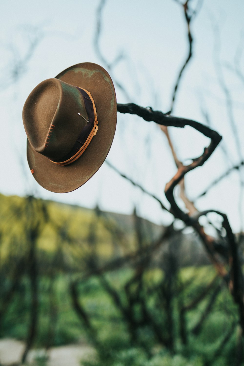 brown cowboy hat on brown twig