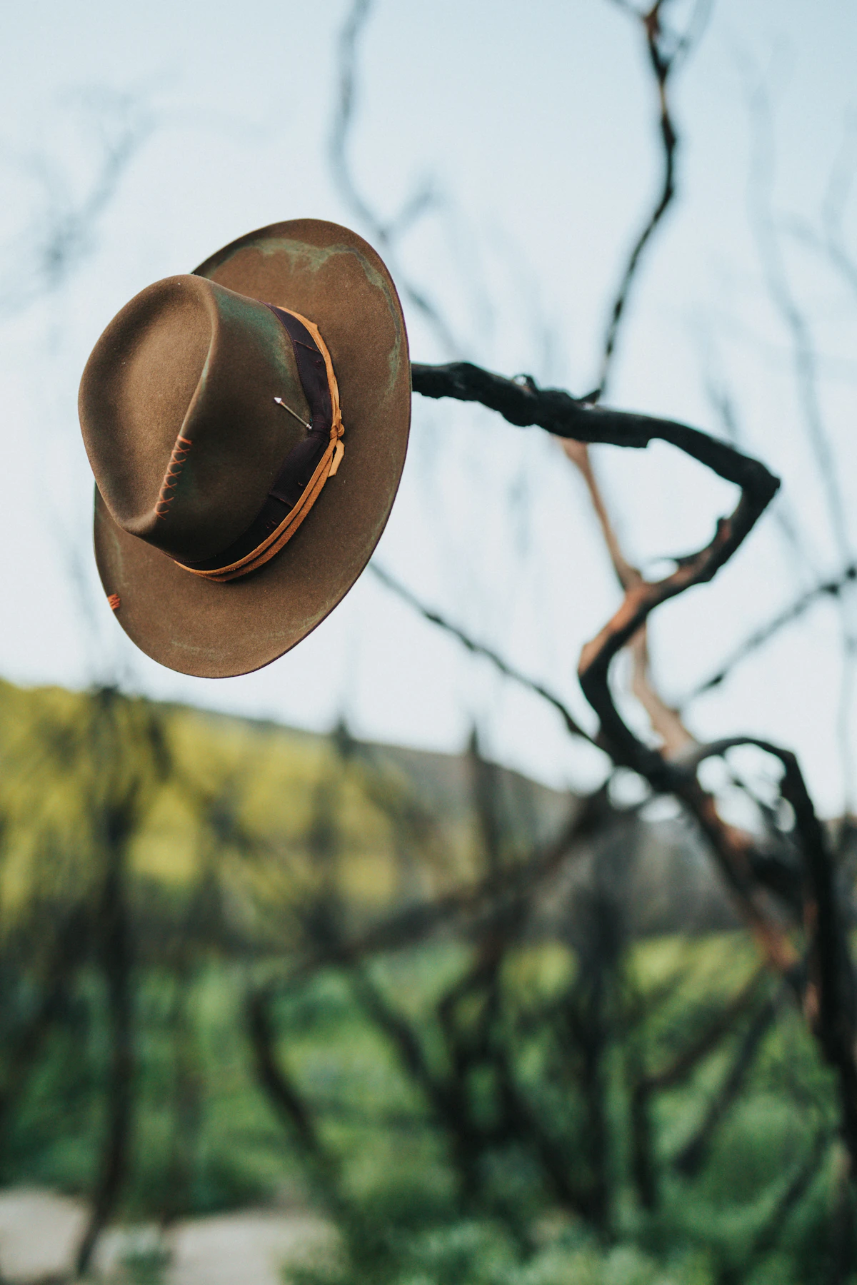 felt cowboy hat woman