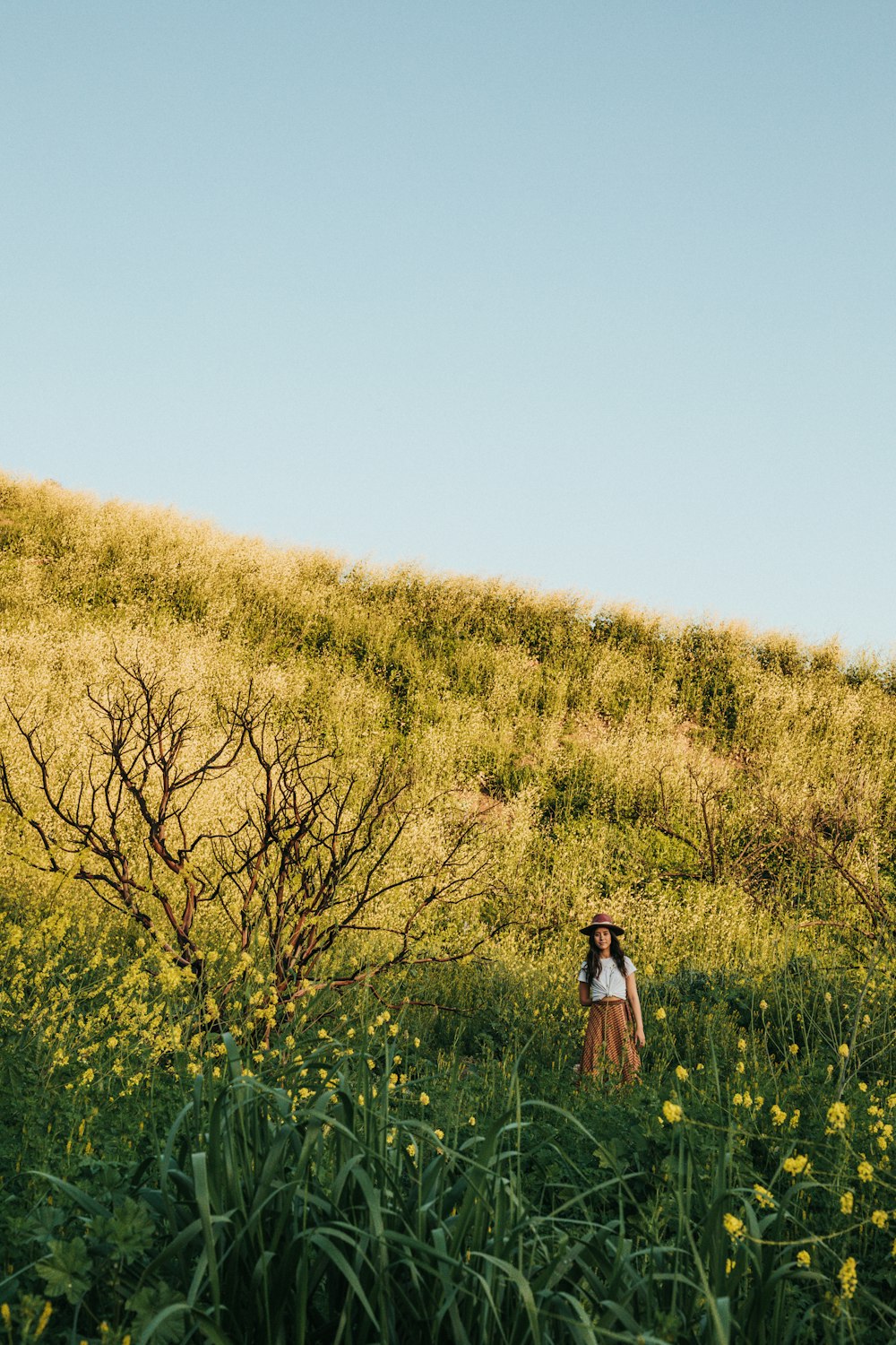 woman standing near yellow petaled flowers during daytime