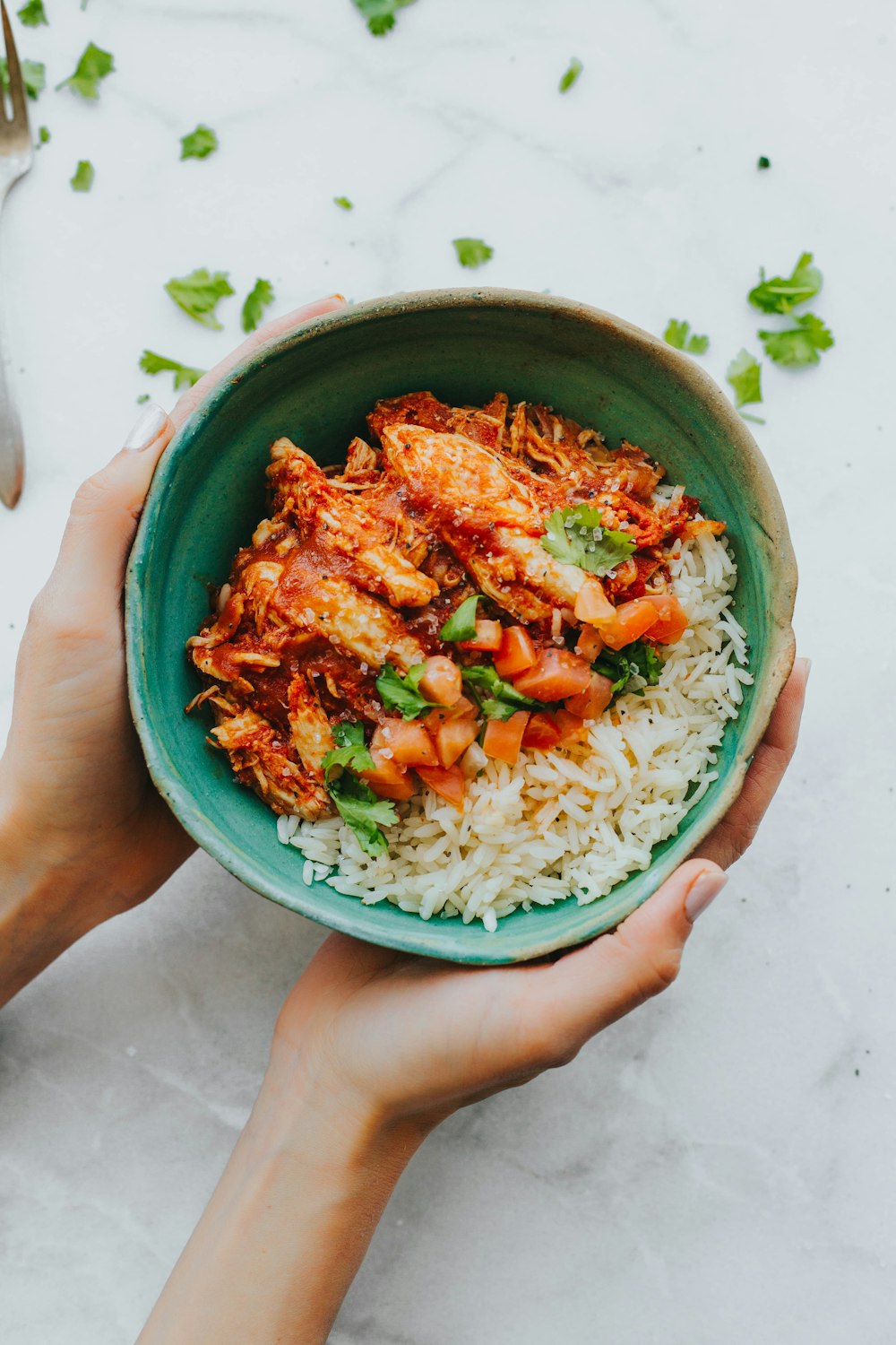 person holding rice bowl