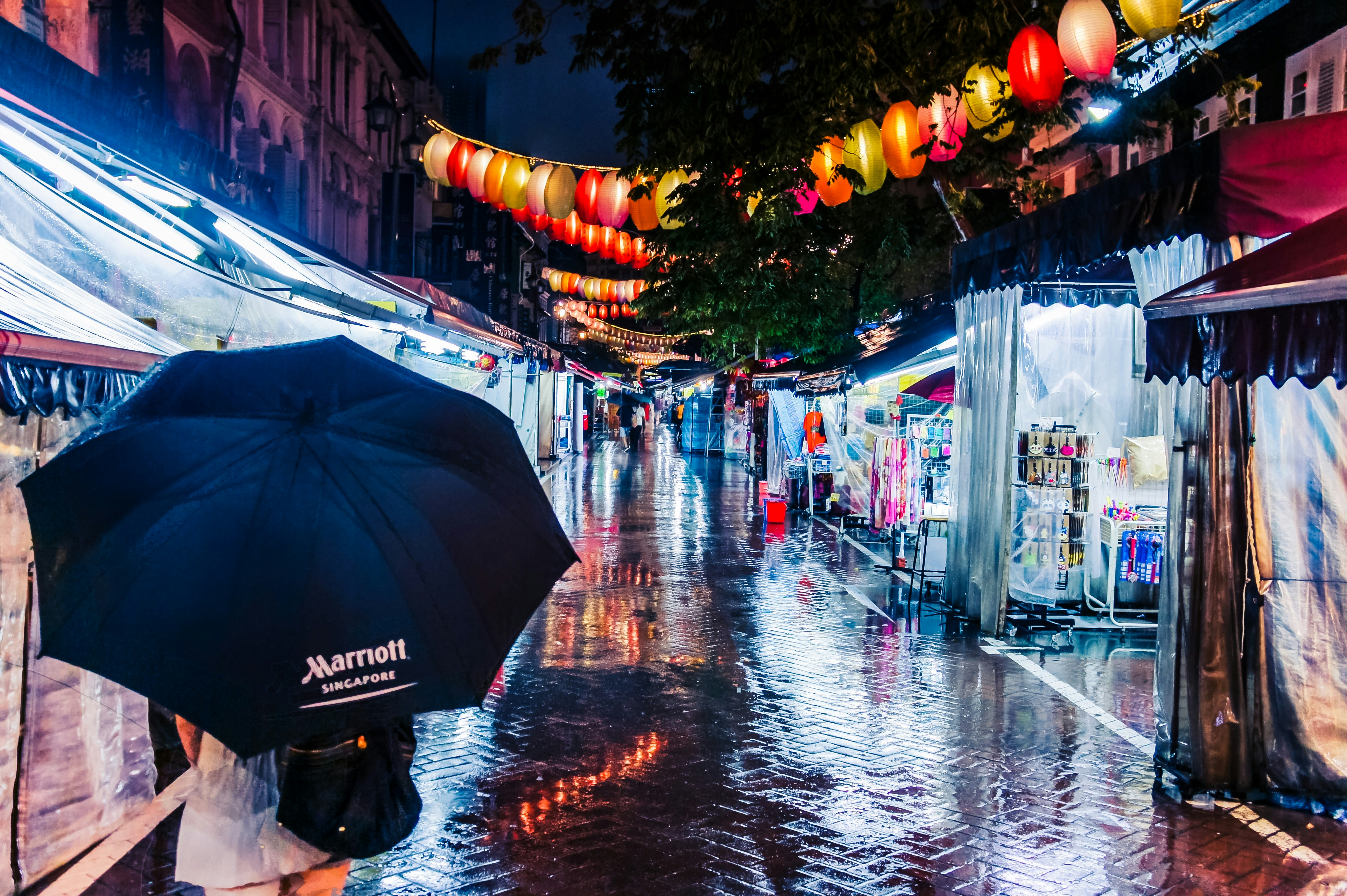 Photo by davidveksler