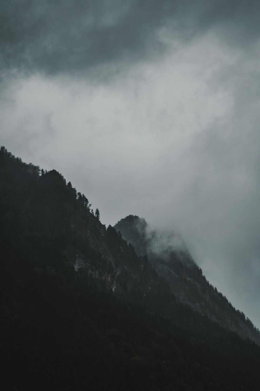 a mountain covered in clouds and trees under a cloudy sky