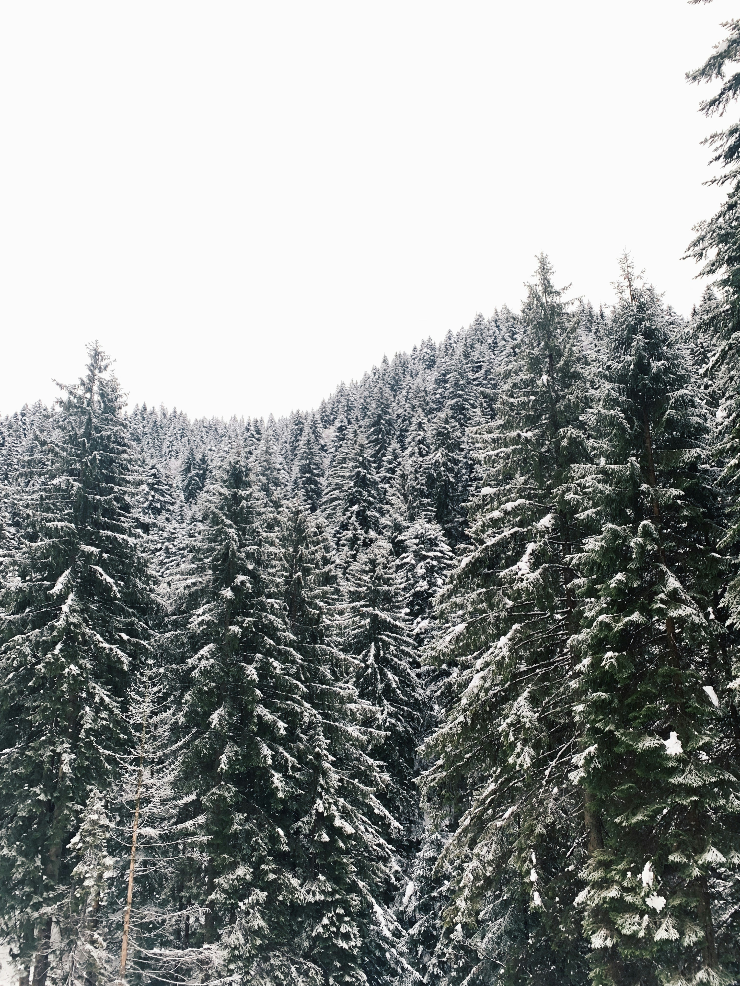 Photo by fabiotraina