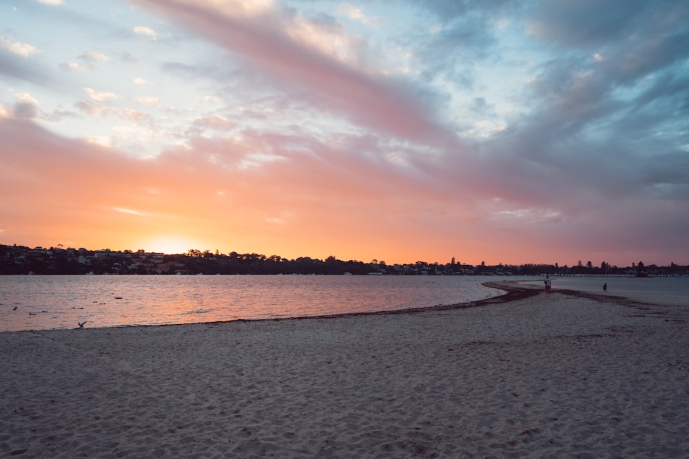 seashore during golden hour