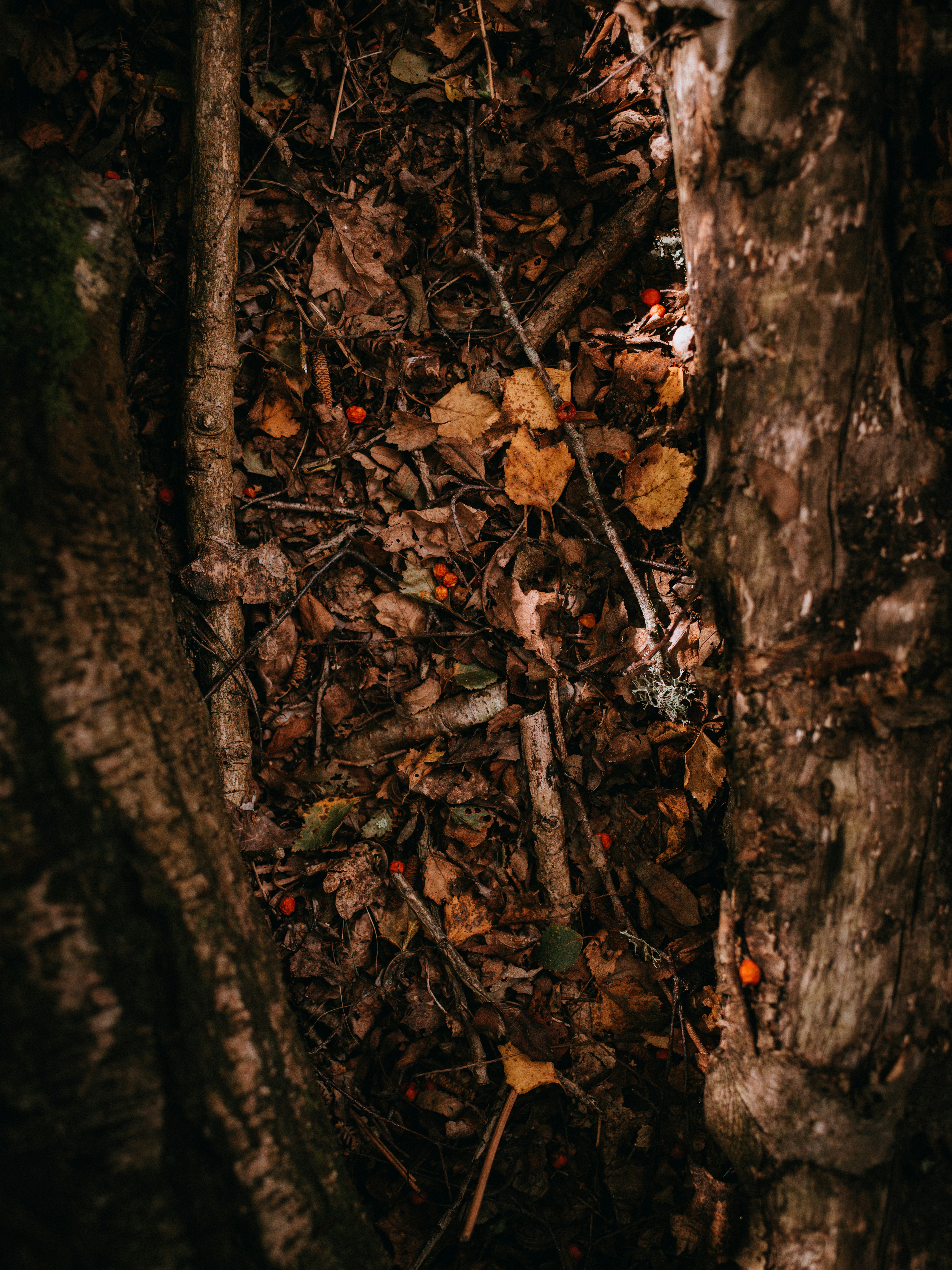 Photo by anniespratt