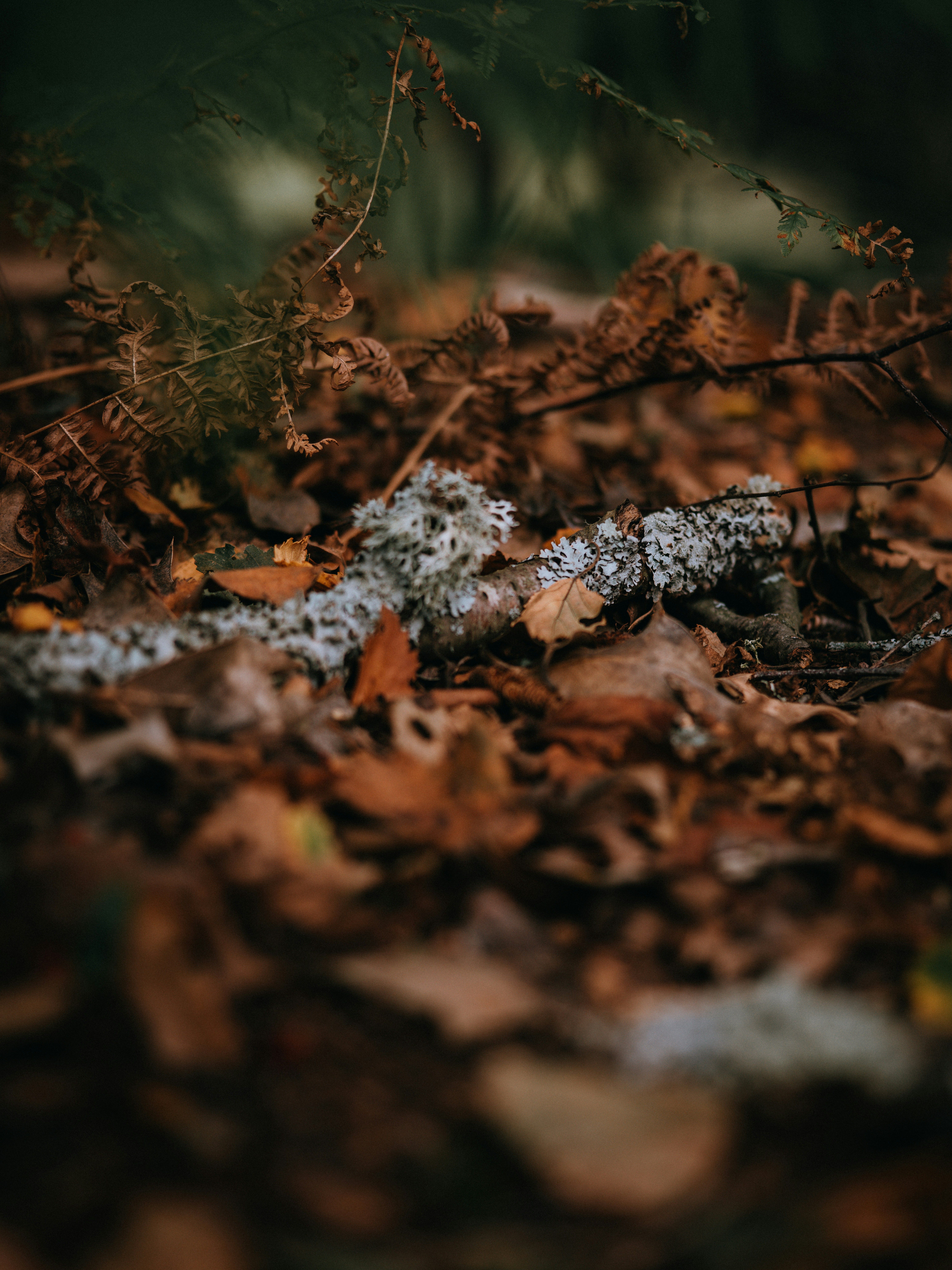 Photo by anniespratt