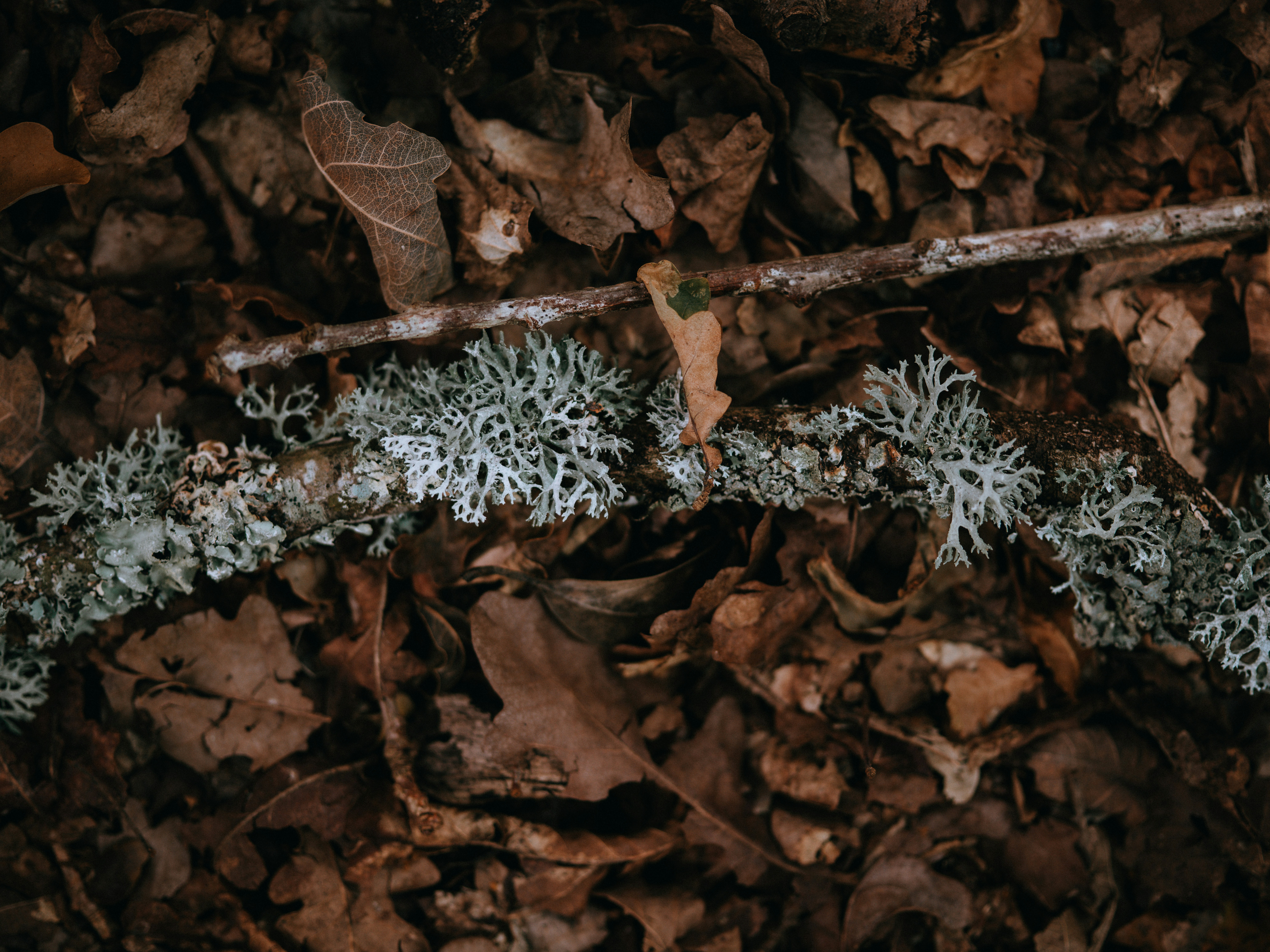 Photo by anniespratt