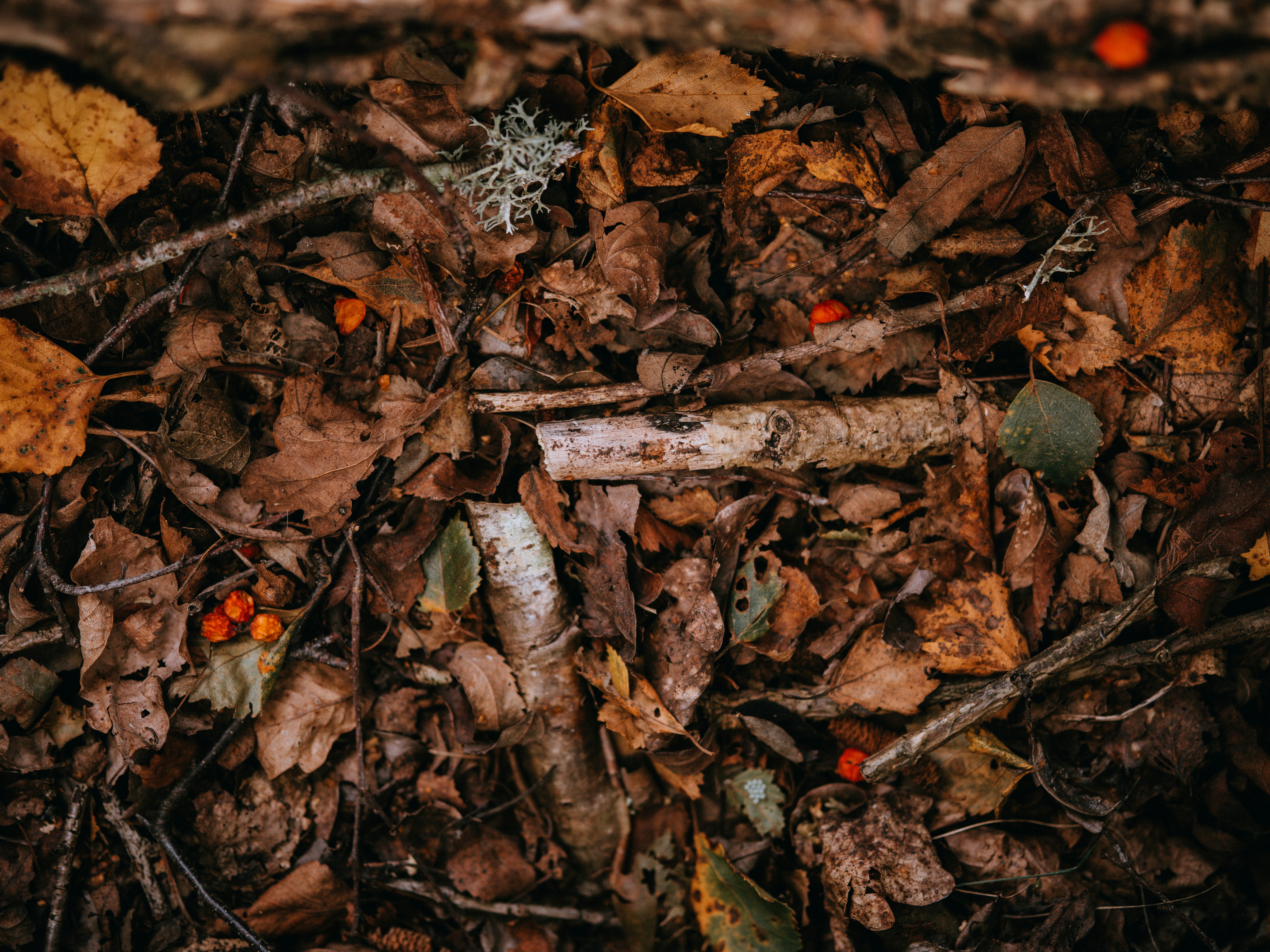 Photo by anniespratt