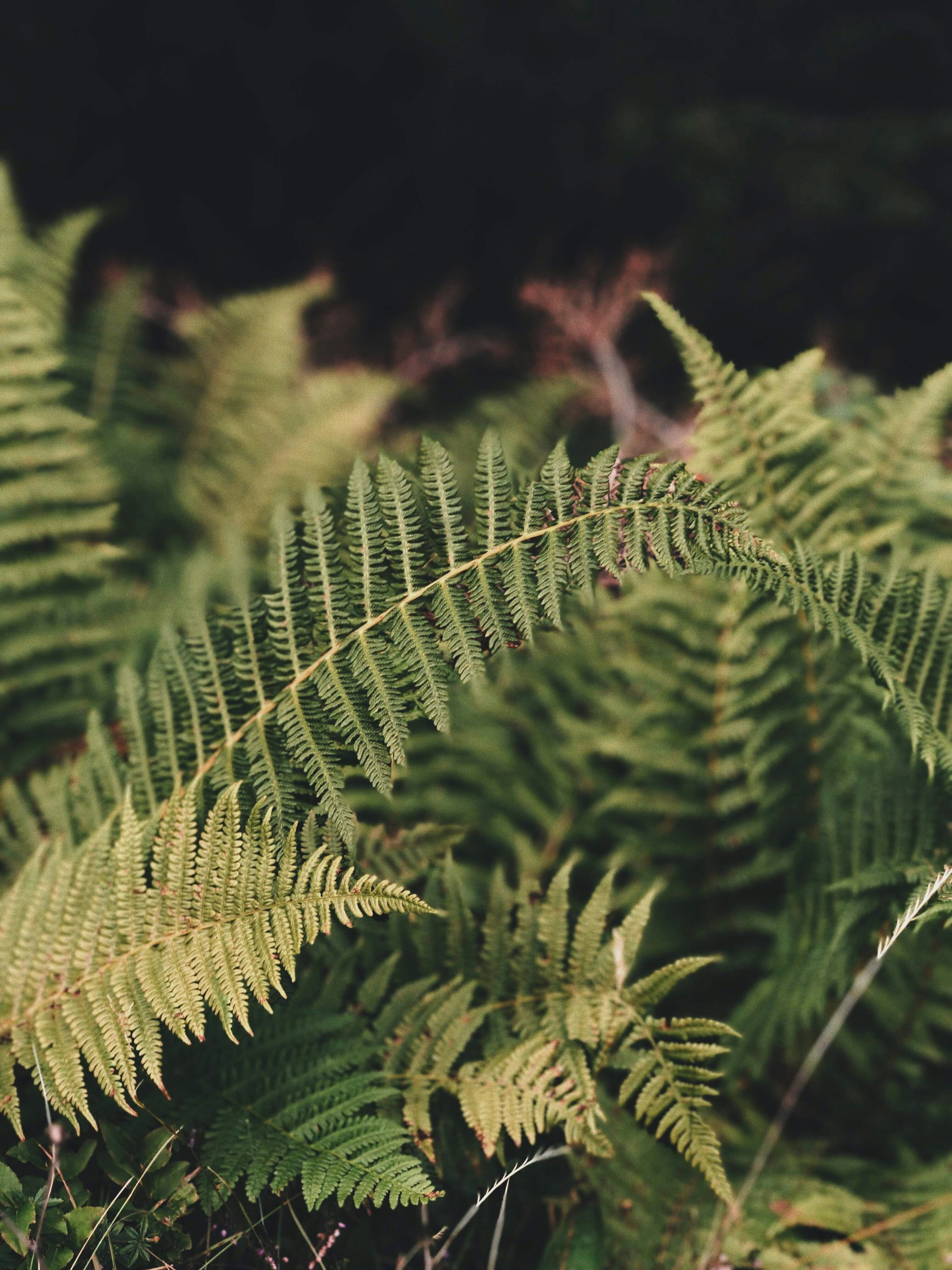 Photo by eddie_hollywood