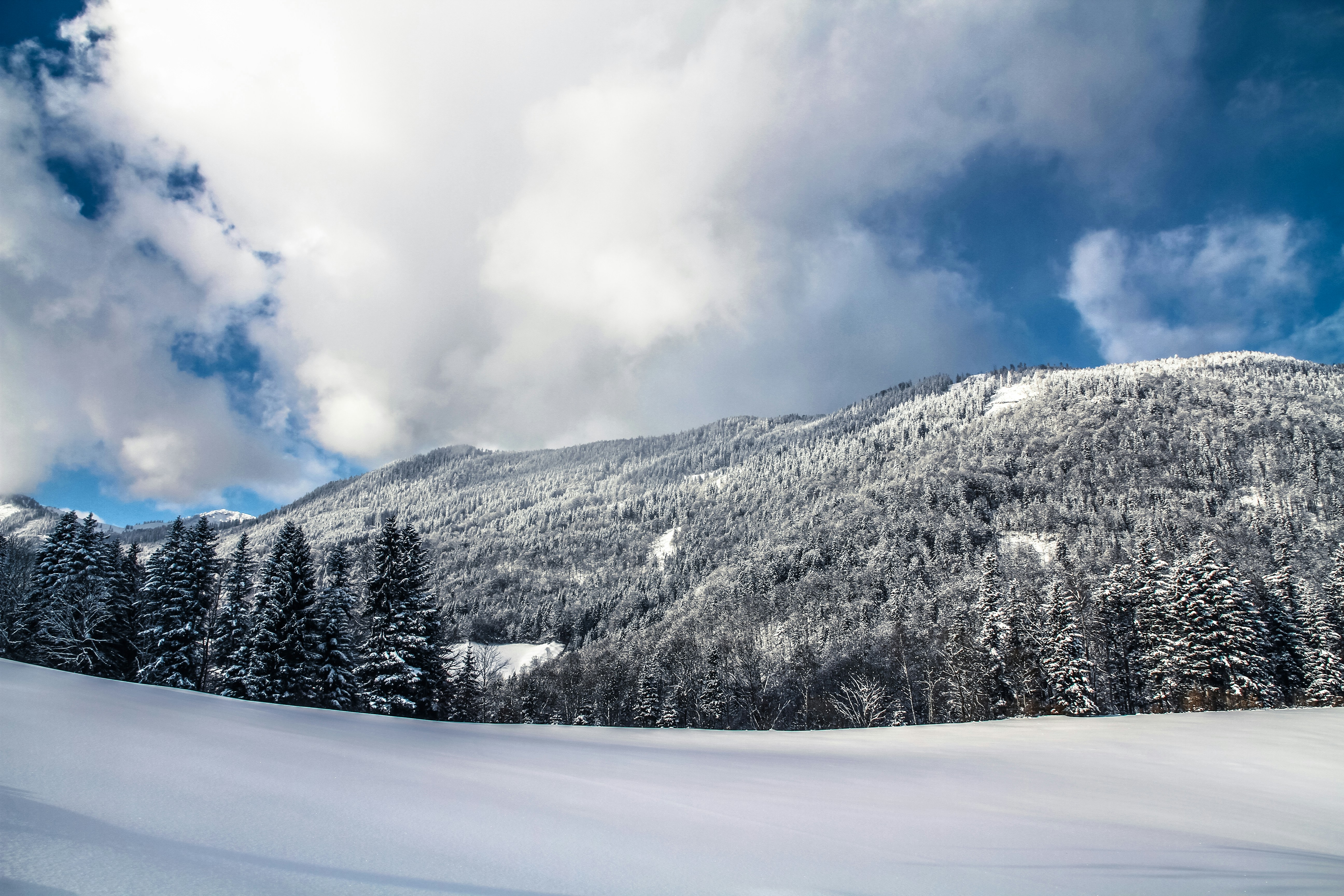 Photo by alightproduction_by_sabrinawendl