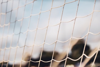 white mesh net