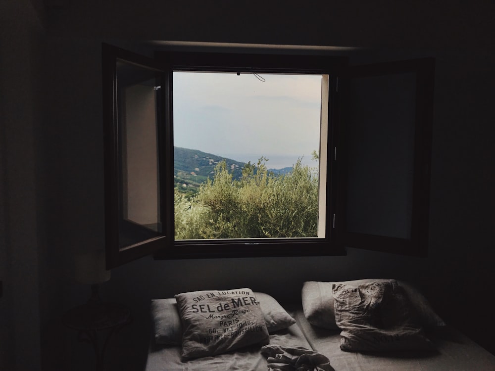 vista di alberi verdi da una finestra aperta