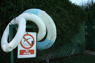 Two life rings are mounted on a green metal post next to a 'No diving' sign with a red circle and line over a diving figure. The background features lush green bushes and a green lattice fence.