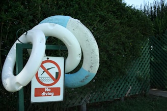 Two life rings are mounted on a green metal post next to a 'No diving' sign with a red circle and line over a diving figure. The background features lush green bushes and a green lattice fence.
