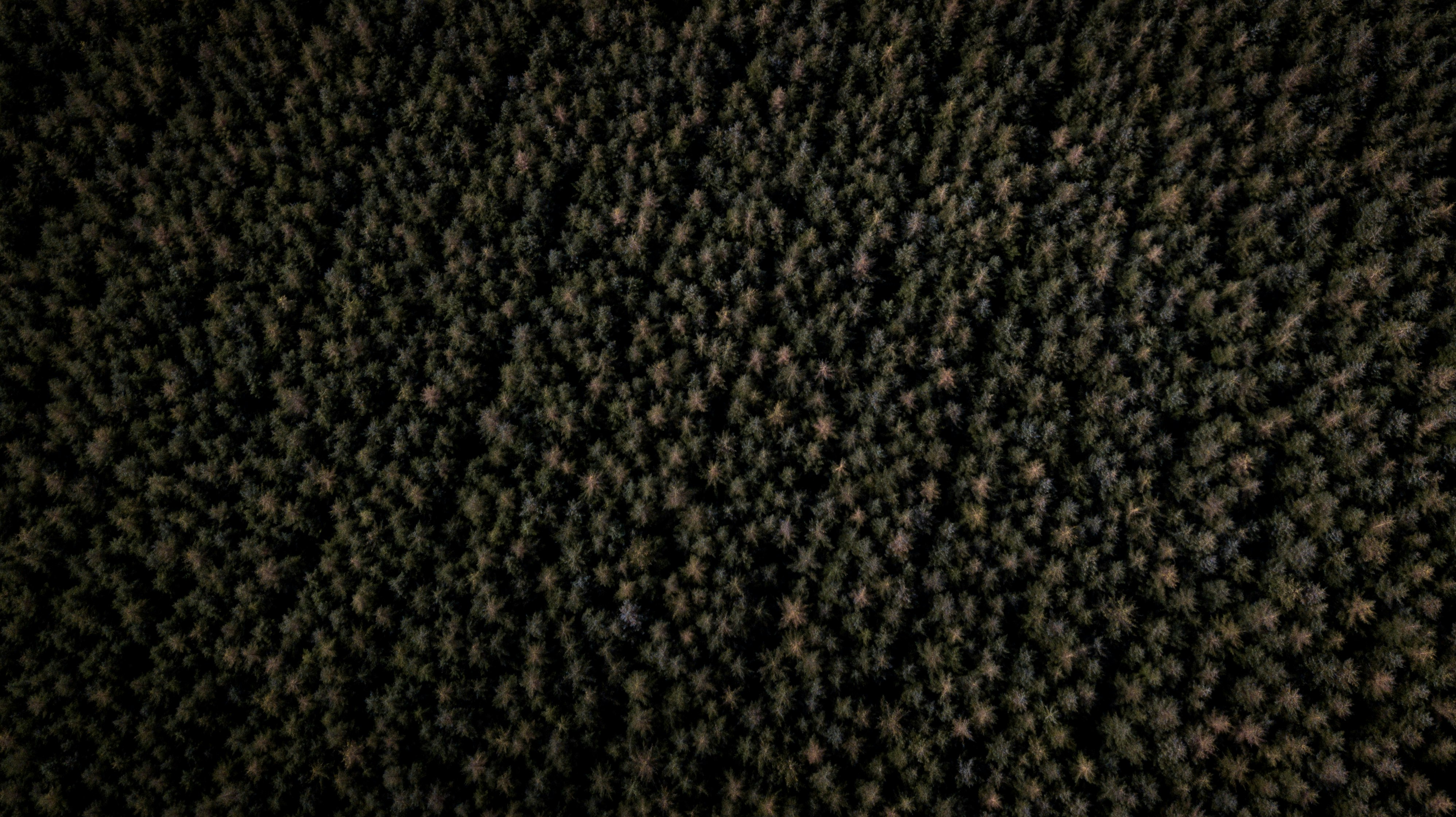 photo-1568111384070-4bea71e5ed74?ixid=M3