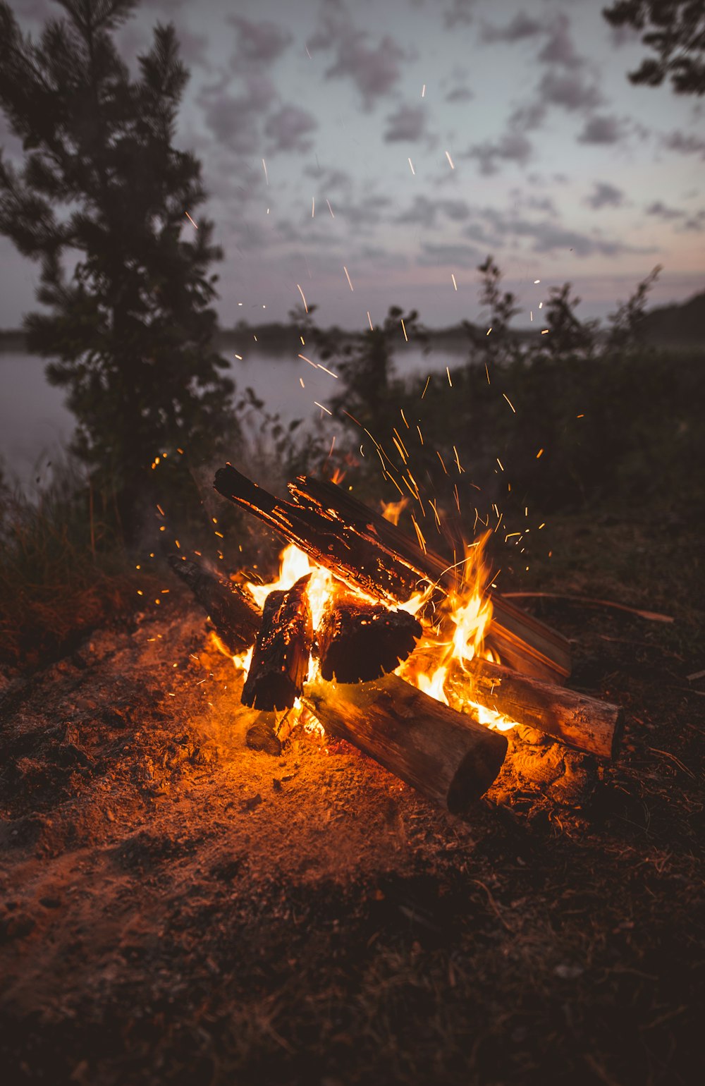 photography of bonfire during daytime