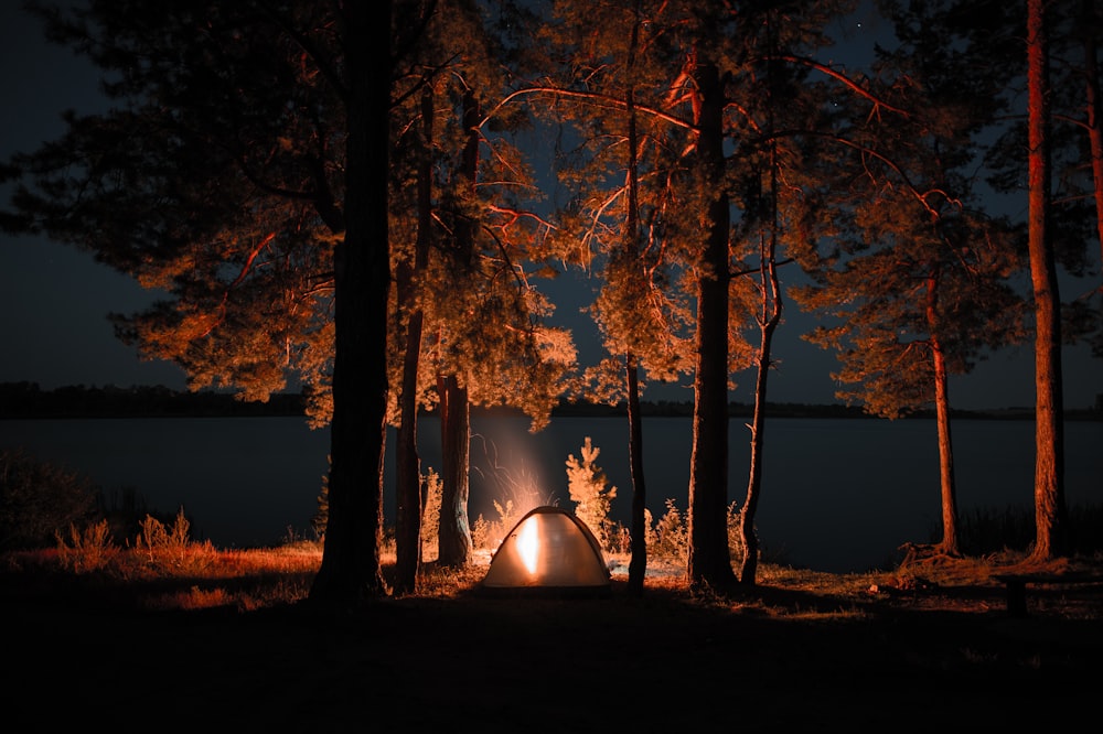 photo of camping tent in forest