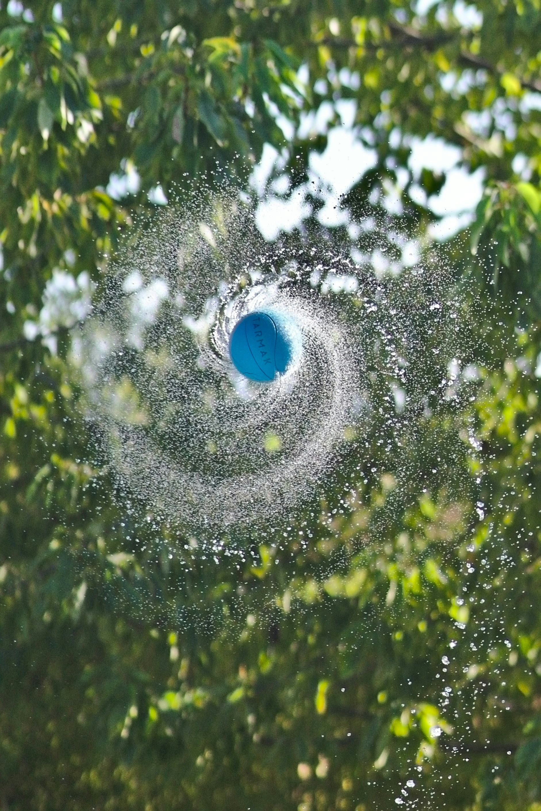 flying teal ball under the tree