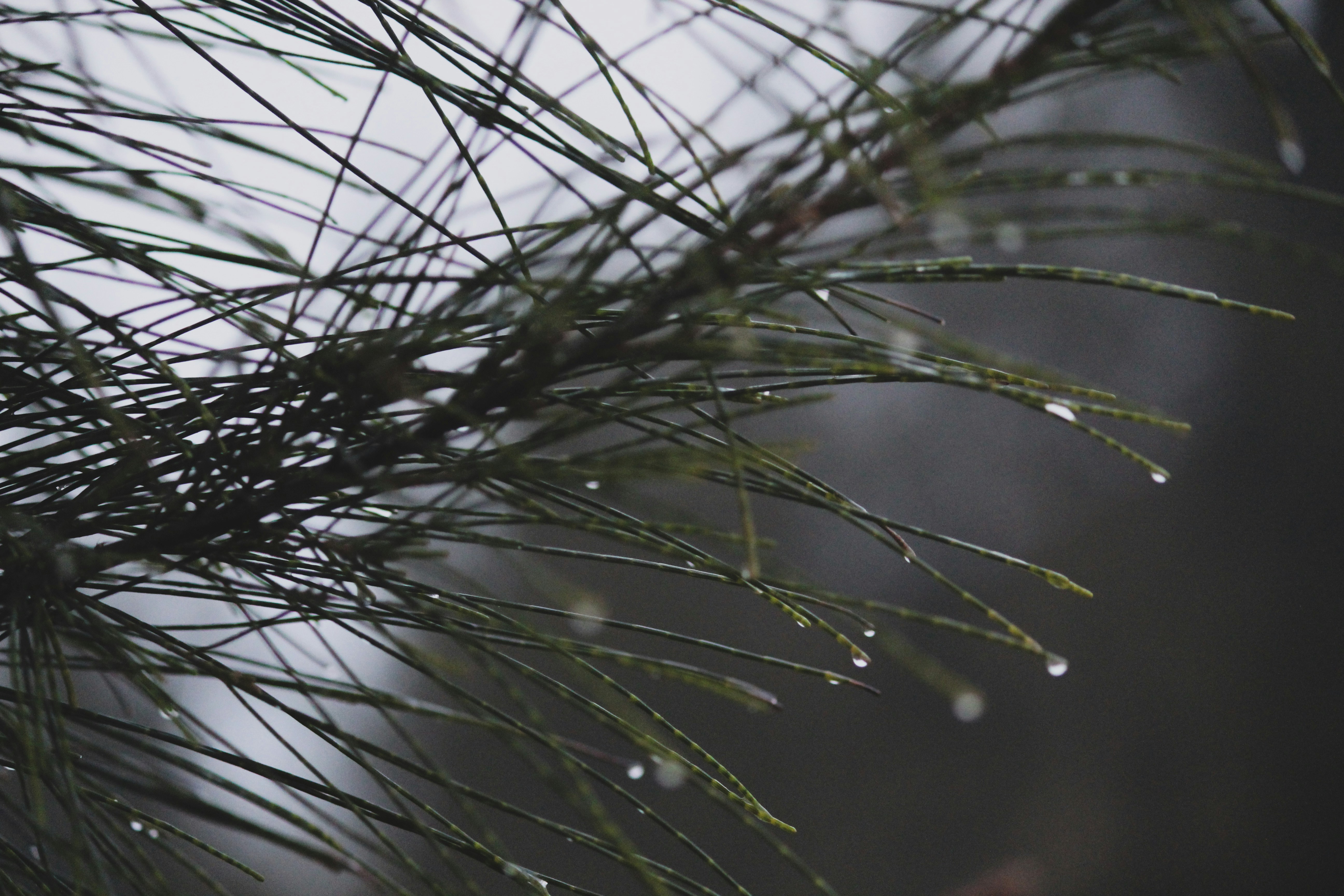 Photo by amandakariella