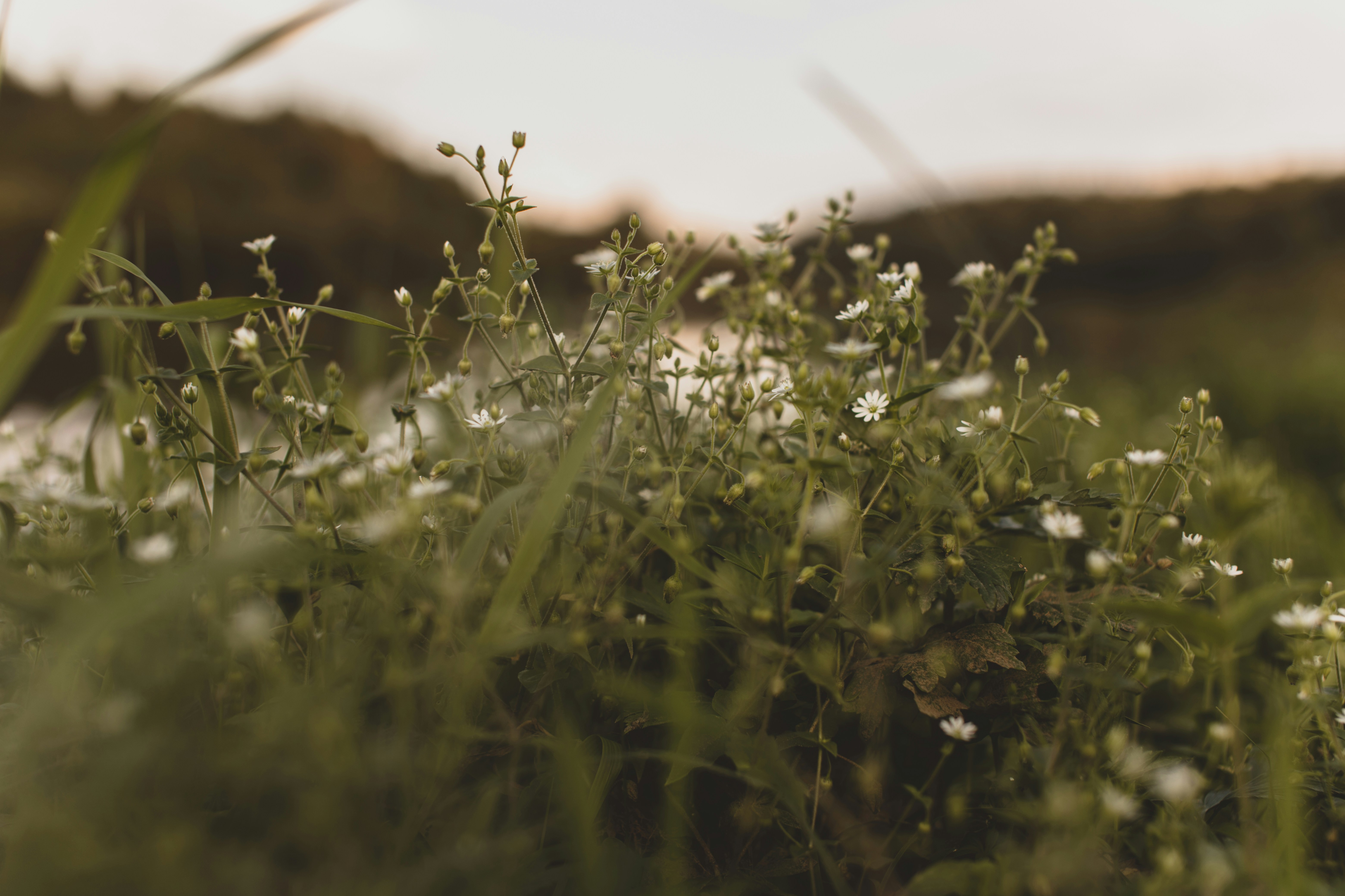 Photo by alex_photogram