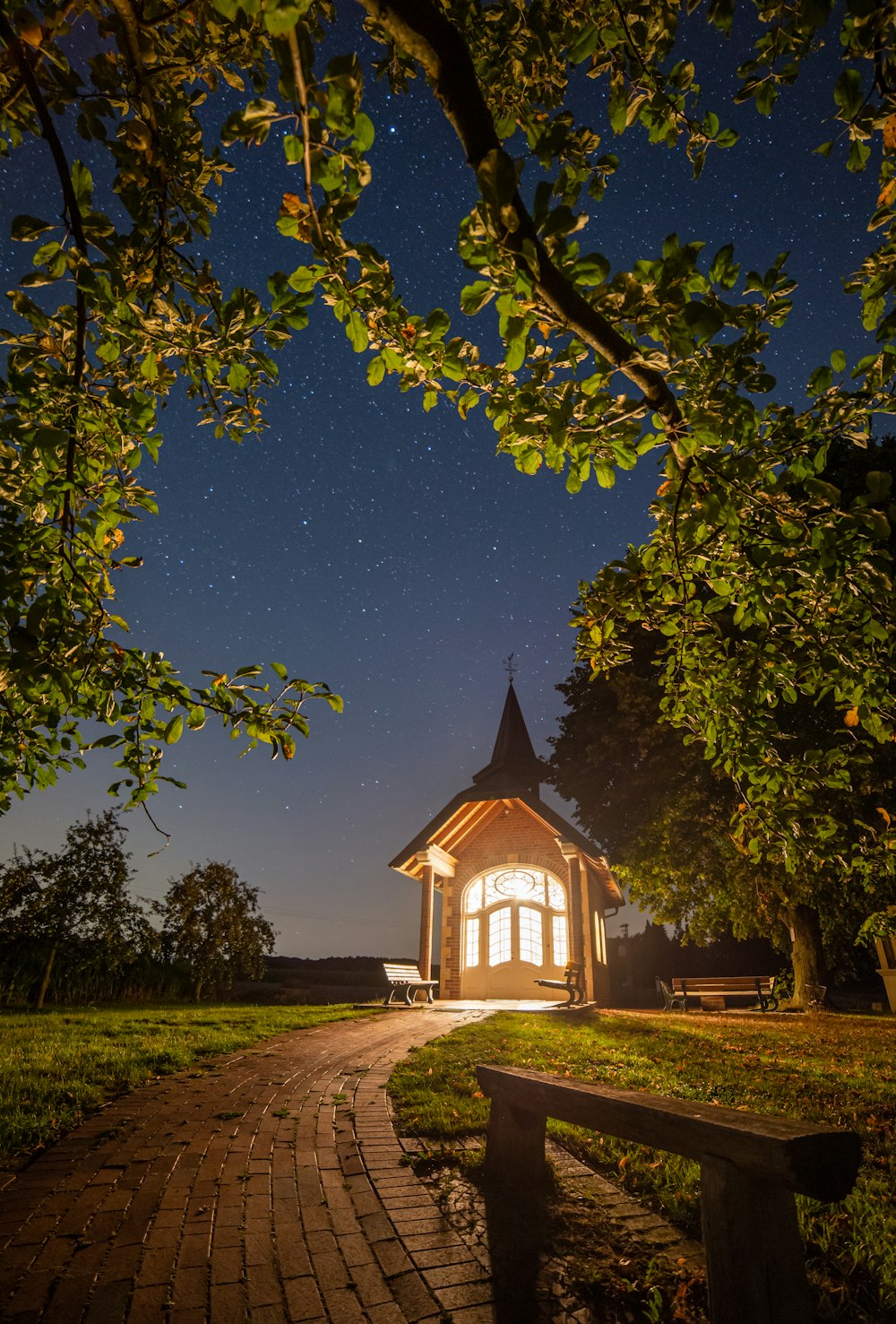 cabin near forest