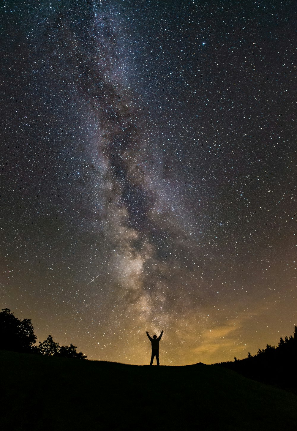 milky way on forest