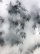 green leafed plants